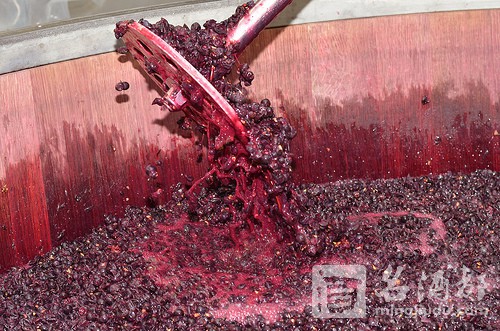 02-Whole-Bunch-Winemaking-Shakes-up-Bordeaux-20160918