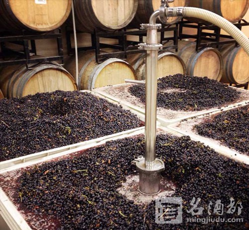 01-Impacts-of-Cold-Soak-and-Cofermentation-on-Wine-20161220
